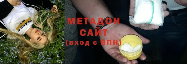 прущие грибы Заволжье