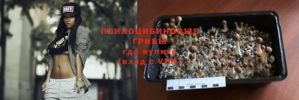 прущие грибы Заволжье