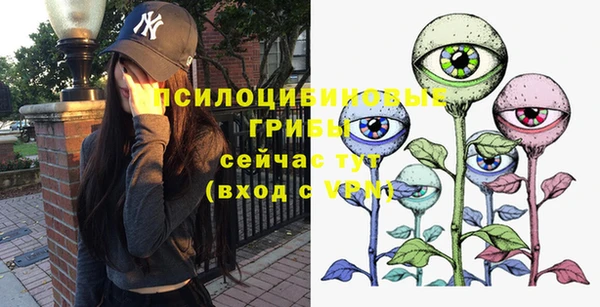 прущие грибы Заволжье