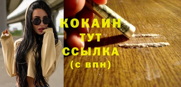 прущие грибы Заволжье